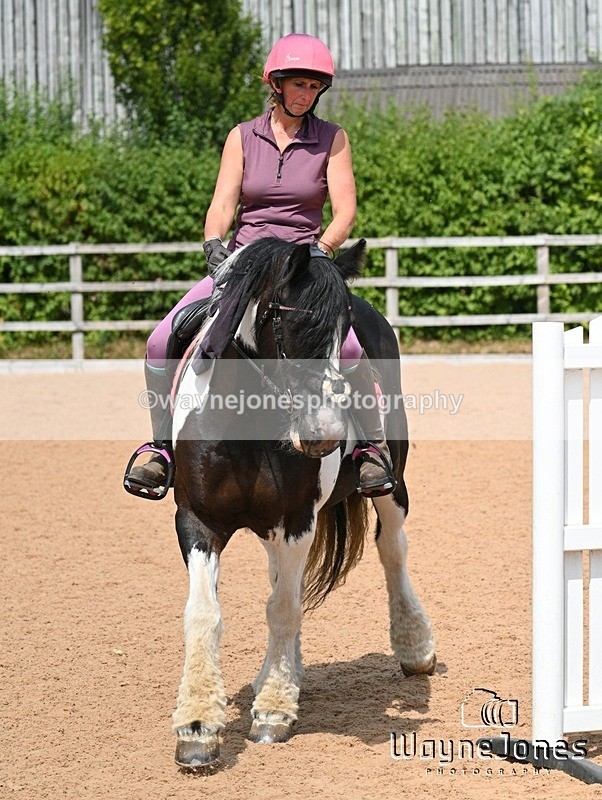 WJ7_6773 - Show Jumping at BCA