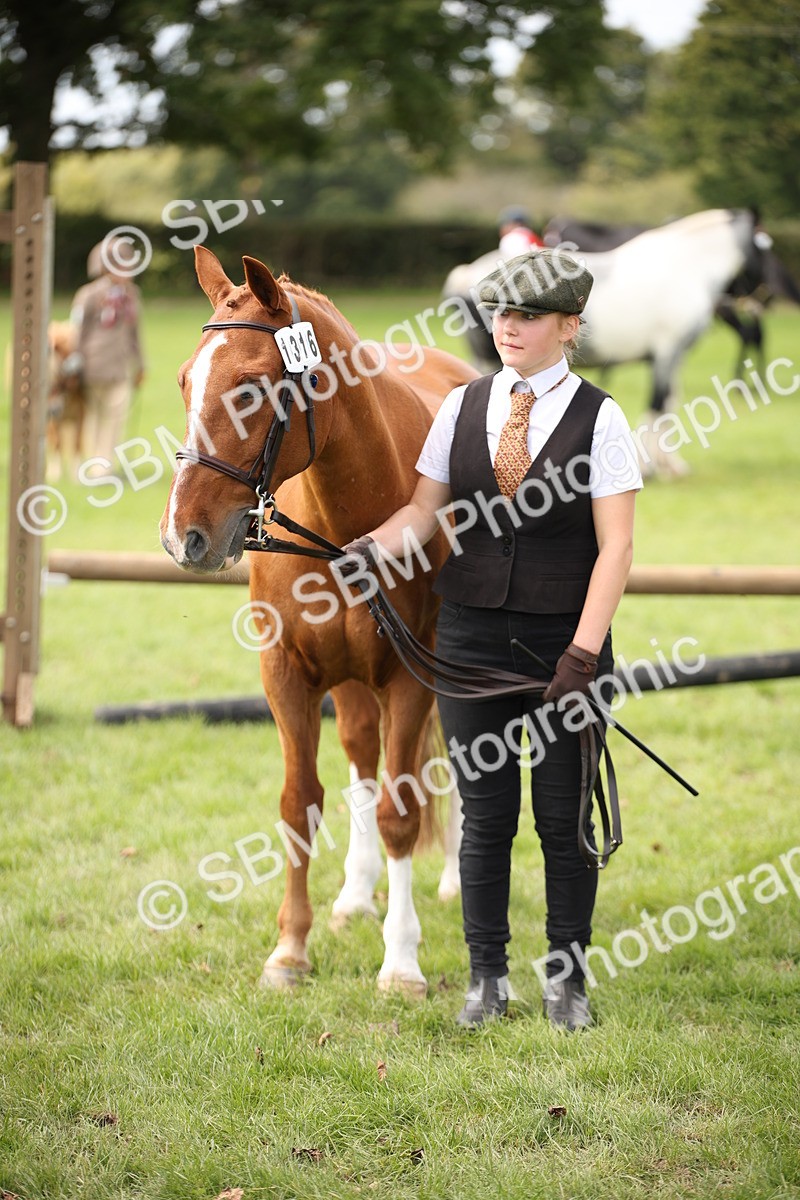 SBM_44515 - S24 - Young Veteran in hand