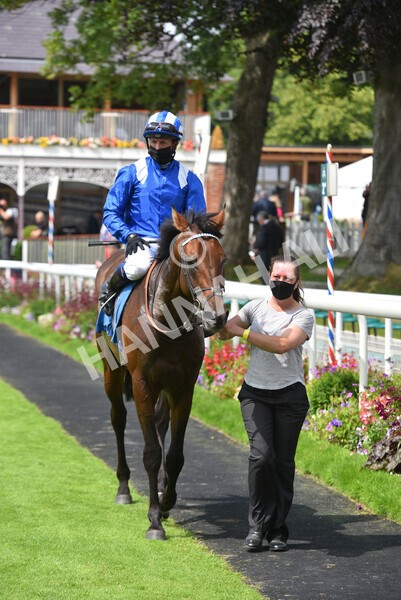 yr10072021r2-28 - Race 2: 2.20pm John Smith's Silver Cup Stakes