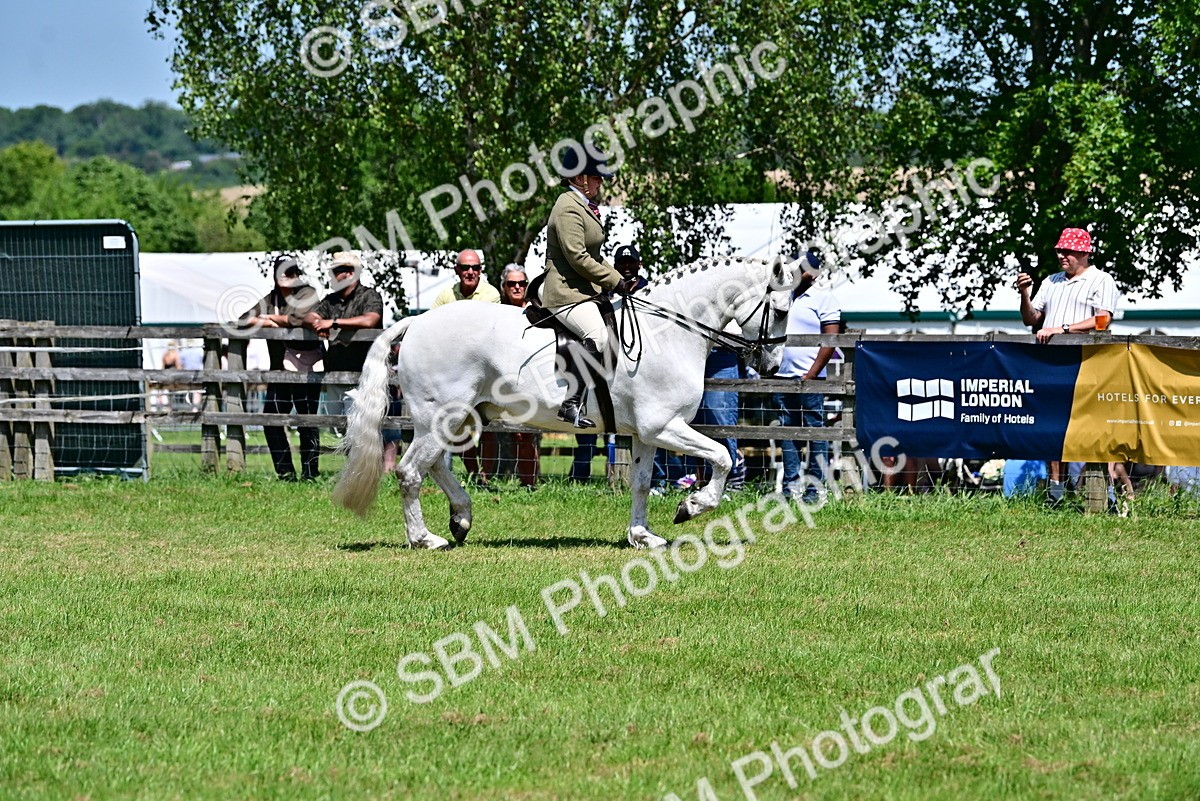 SBM_17392 - Class 95-97 - BSPS LHS Performance Ponies