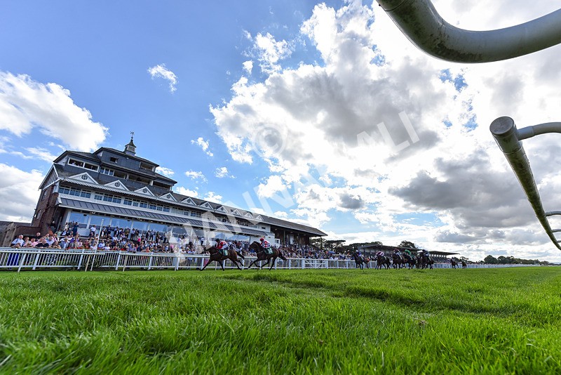 140926-Race 2-Bladey Lady-2 - Race 2 2.51pm Patrick Hibbert-Foy Memorial Nursery Handicap