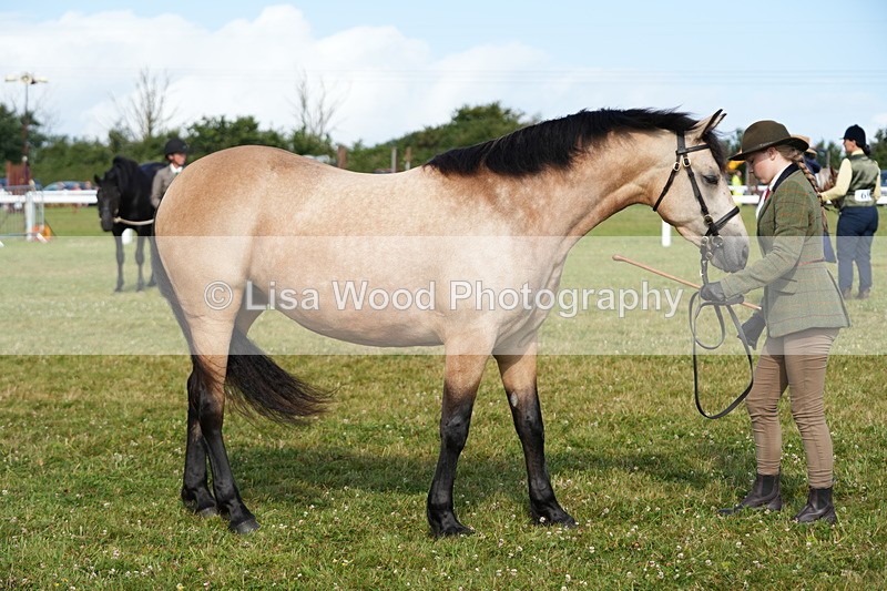 DSC05020 - Class 48: NPS M&M 2/3 year olds