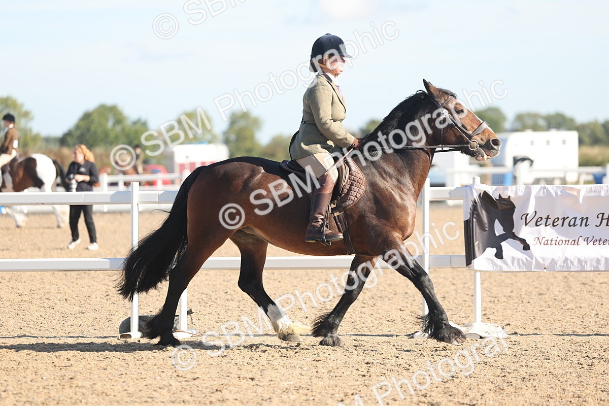 SBM_12287 - Class 304 - Ridden part Bred Horse Pony