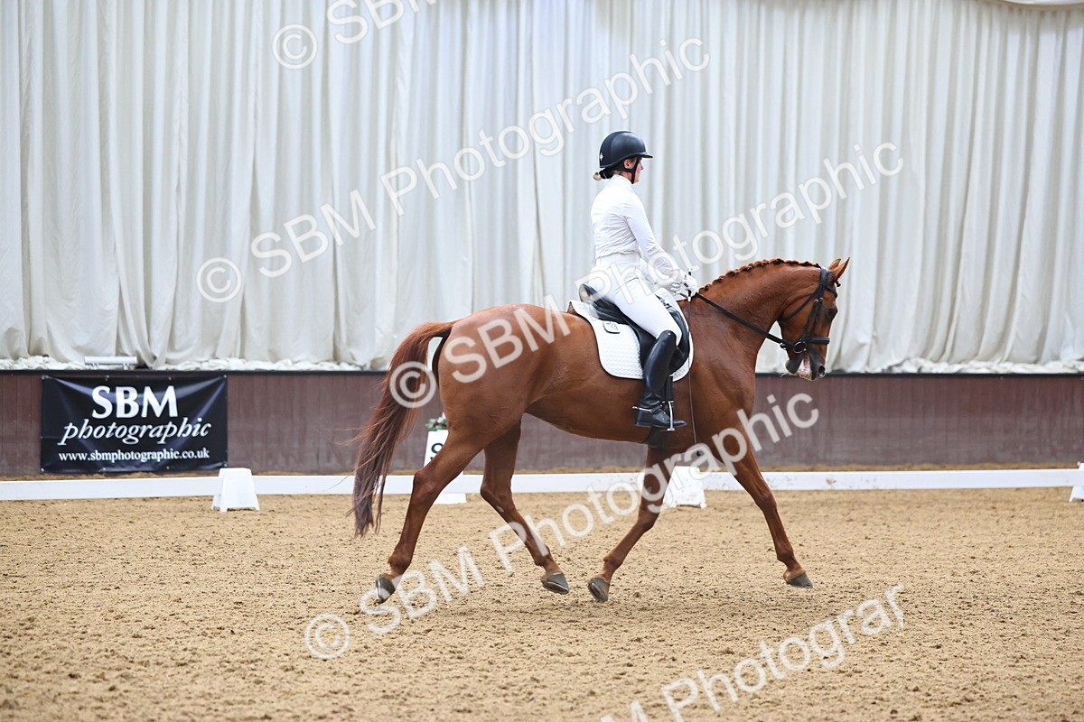 SBM_021709 - Class 14 - N6