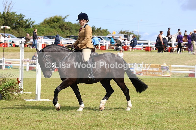 3E7A9820 - Class 5: Rising Star Lightweight/Heavyweight Cobs