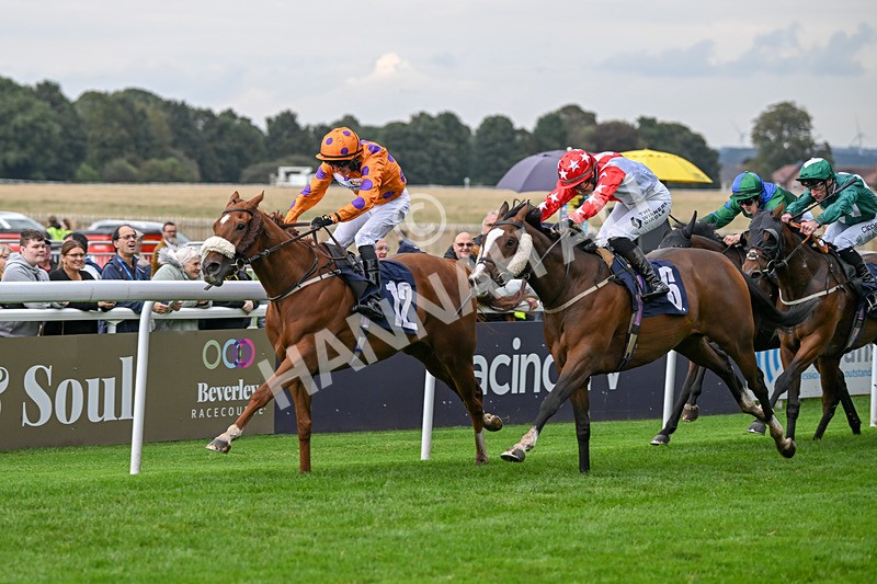 240924-Race 5-Ifonlytheycudtalk-6487 - Race 5