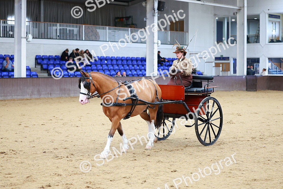 SBM_000136 - Class 3 - Alison Thomas Memorial Lady Whip