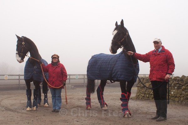 10 - Equestrian Photography