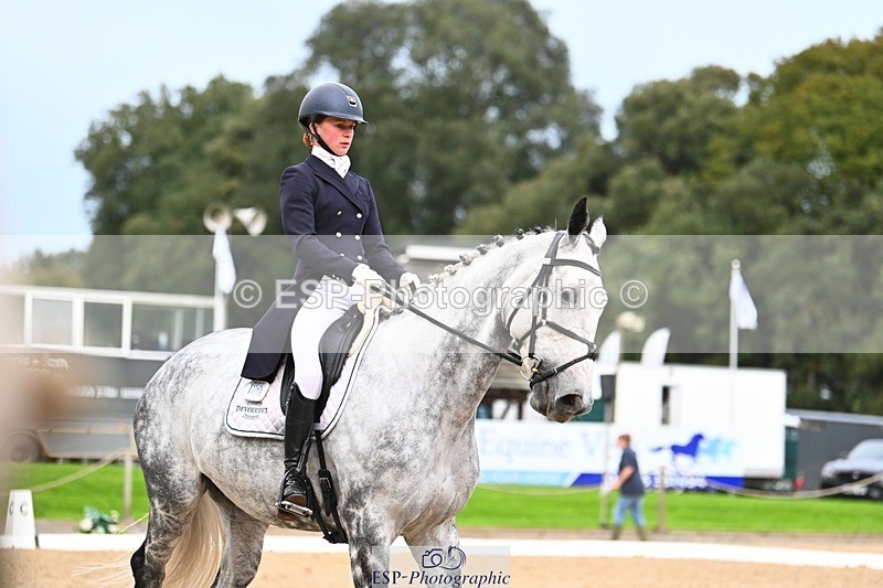 231020-165326-12409 - 316-I.ELLIE.JAY.BUMBLE-Henrietta.Ewell-DR