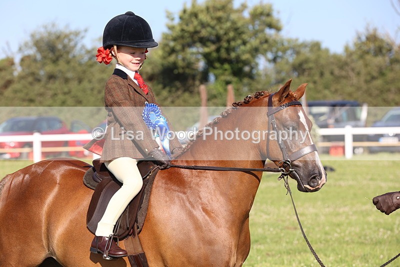 JPP_0892 - Class 16: Cornish Combination Leading Rein