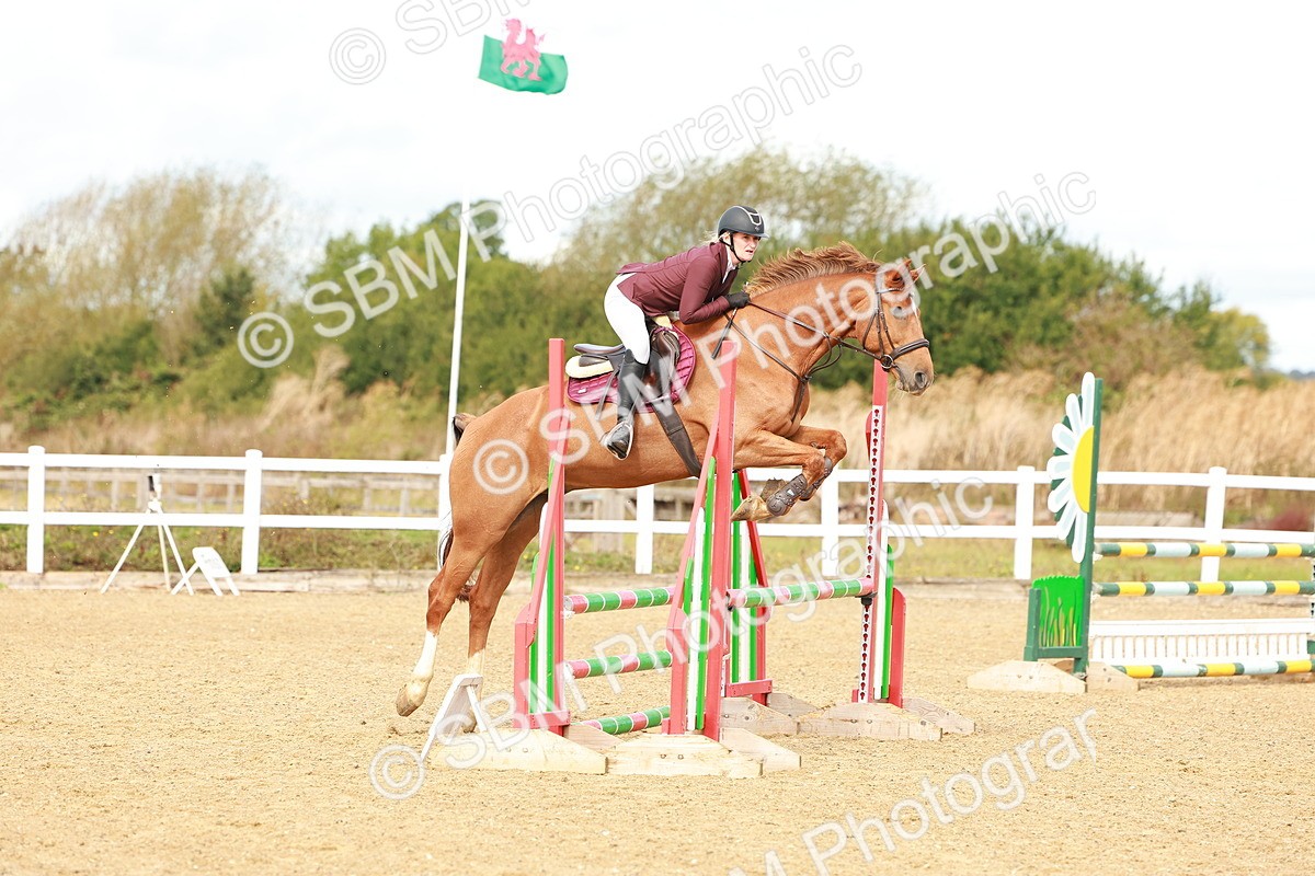 SBM_000439 - Class 2 - Senior British Novice - 90cm