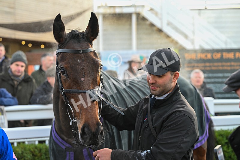 161225-Race 4-Noonetellsmenothin-8653 - Race 4