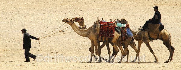 Egyptian Sahara - Egypt