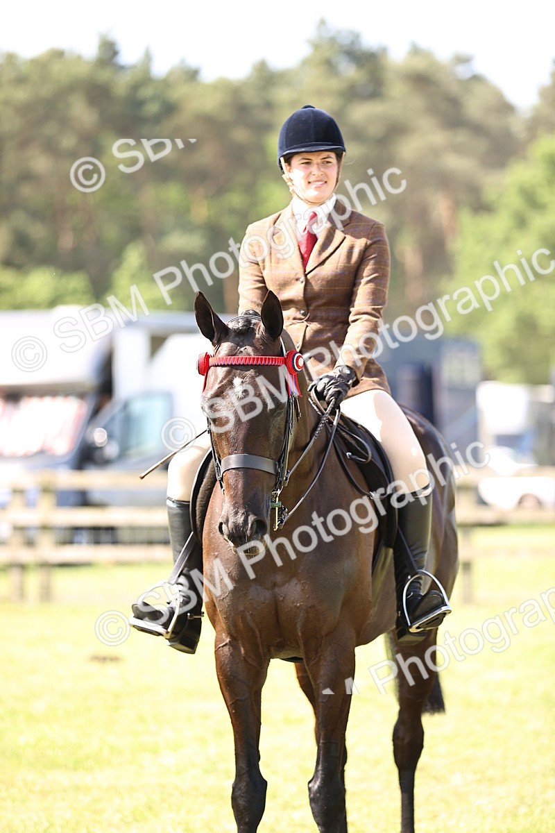 SBM_12997 - Class 75-76 LIHS BSHA Rising Star Hack Riding Horse