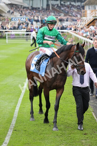yr09102021r1-17 - Race 1 1.30pm Watch Racing Free Online At Coral Nursery Handicap