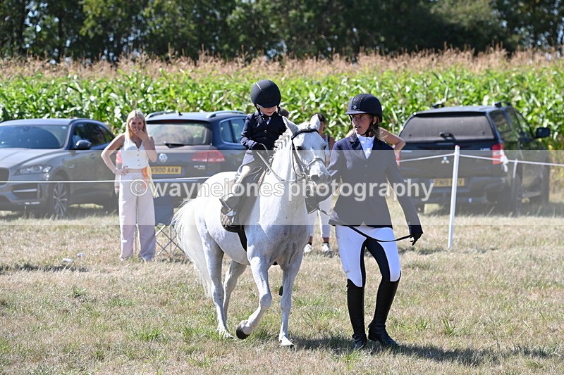 WJ6_8022 - Class 36 Lead Rein