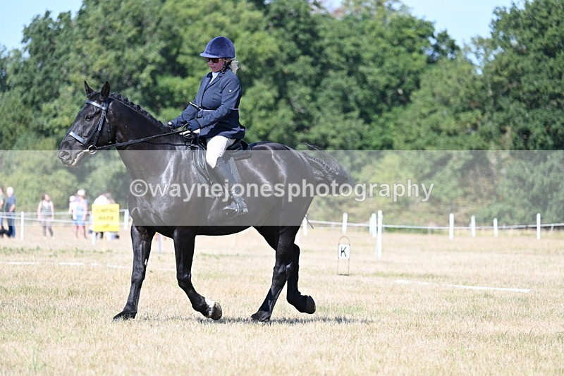 WJ7_9947 - Time 11:03 to 11:28