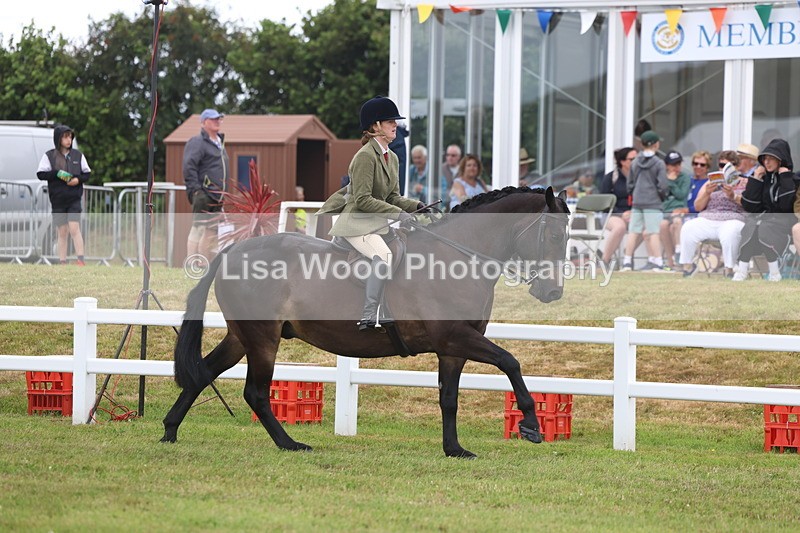 3E7A1431 - Class 9: Open Hunter