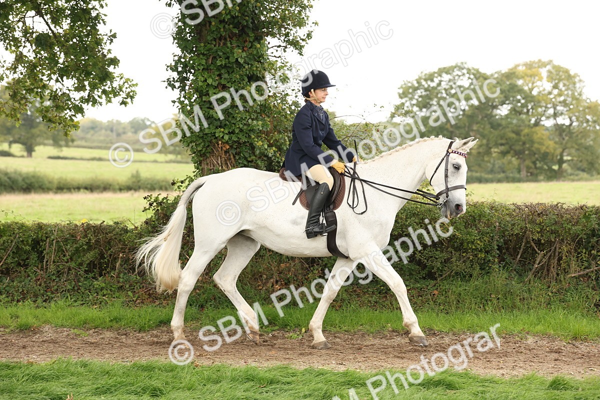 SBM_64165 - S65 - Riding Horse & Hack & Thoroughbred Ridden