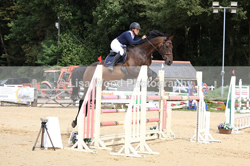 3E7A4385 - Class 8: Senior Foxhunter/1.20 open