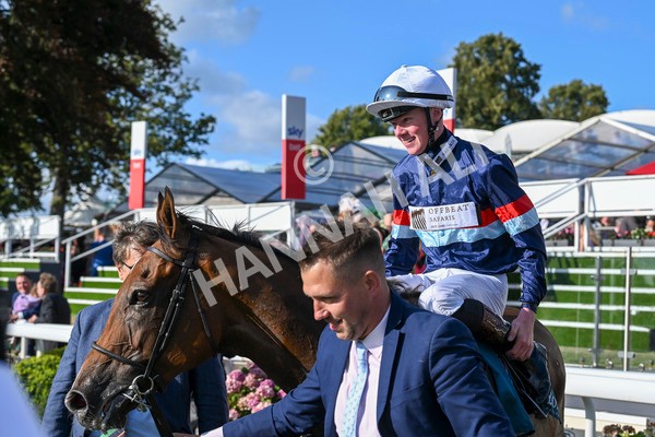 240824-Race 7-Sir Busker-2081 - Race 7 5.20pm Sky Bet Finale Handicap