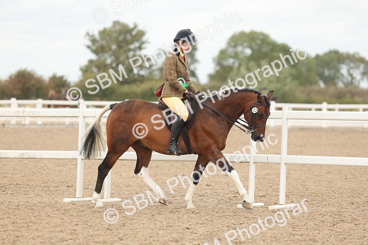 SBM_16094 - Class 311 - Ridden Show pony-Show hunter Pony