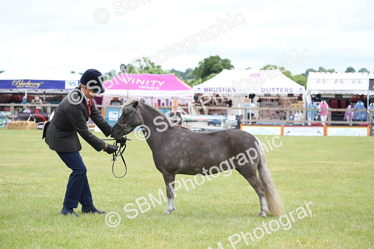 SBM_03939 - Class 23-25 - British Miniature Horse of the Year