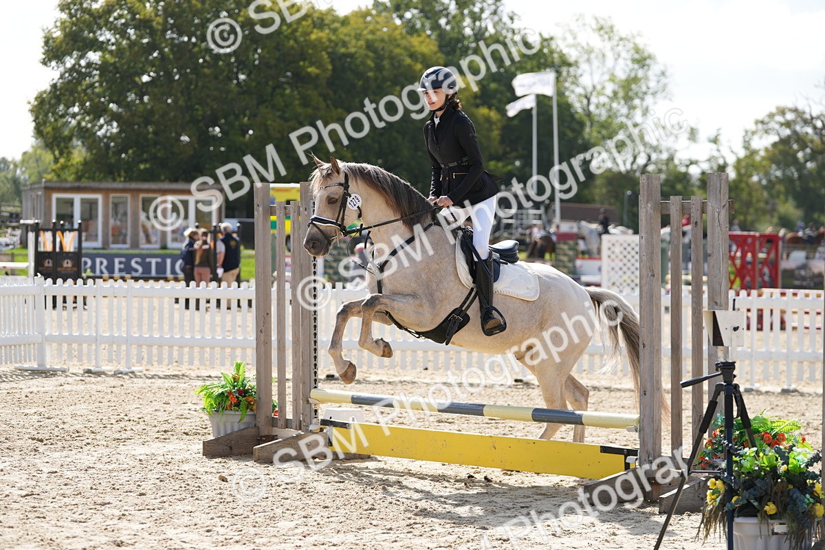 SBM_17835 - J58 - Clear Round 50cm
