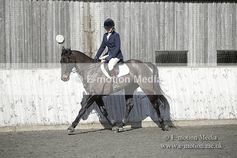 BVRC 050320 0620 - Bourne Valley riding Club Show Jumping Tidworth 08/03/20
