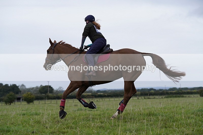 _DSC5422 - Time at Photographer 09:16 to 09:37