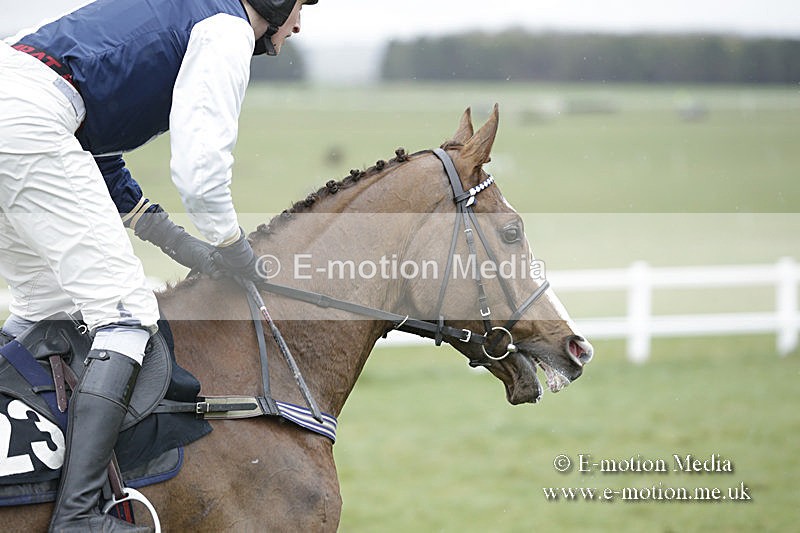 PtP 150320 0275 - New Forest Point-to-Point Larkhill 15/03/20
