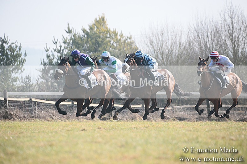 PtP 230219 88 - Vine & Craven Point-To-Point - Barbury 23/02/19