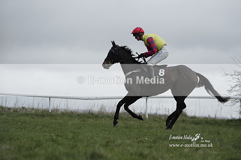 PtP 260323 0711 - New Forest Hounds Point-to-Point Larkhill 26/03/23