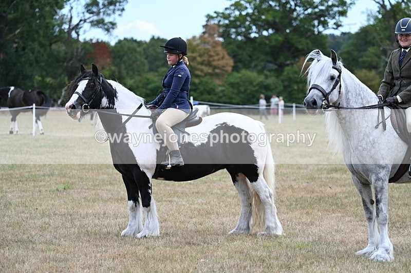 WJ7_5503 - Class 12 Ridden Cob