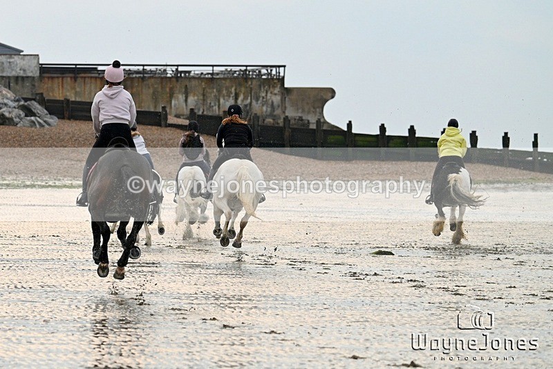 WJ7_9184 - Hayling Island Beach Shoot 22-09-24