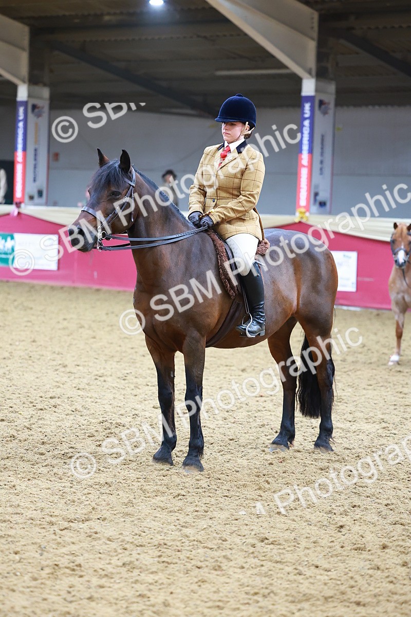 SBM_09834 - Class 102 - HOYS Veteran Qualifier - Ridden Veteran