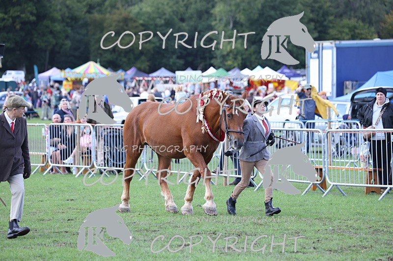 APP_3439 - Class 6 Young Handlers