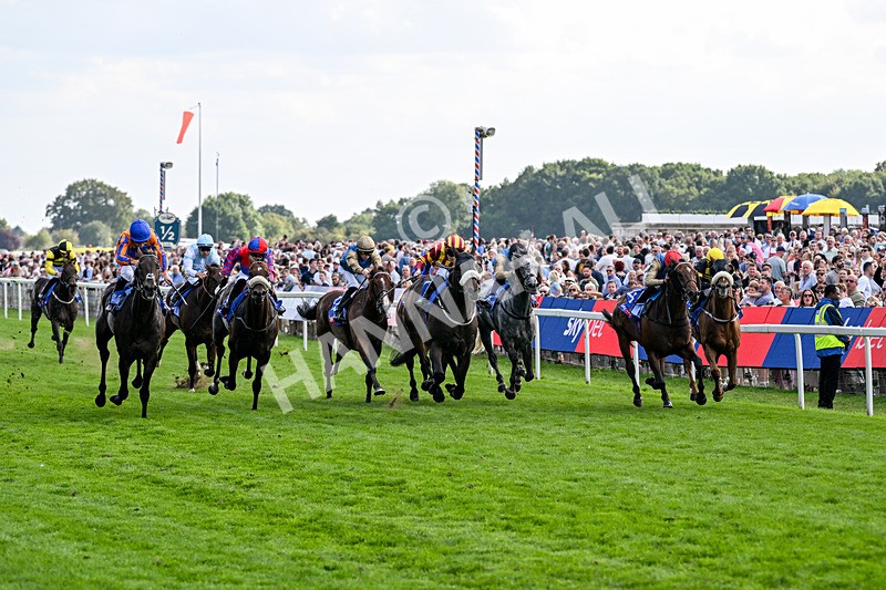 220826-Race 5-Sondad-1072 - Race 5 16.10pm Sky Bet Constantine Handicap