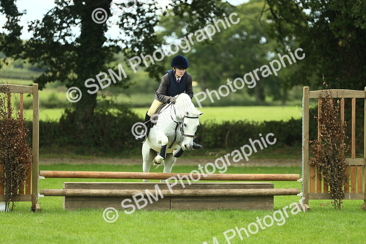SBM_42800 - S30 - M&M Working hunter Pony