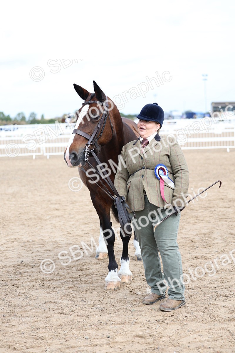 SBM_01527 - Class 17 - Prettiest Mare