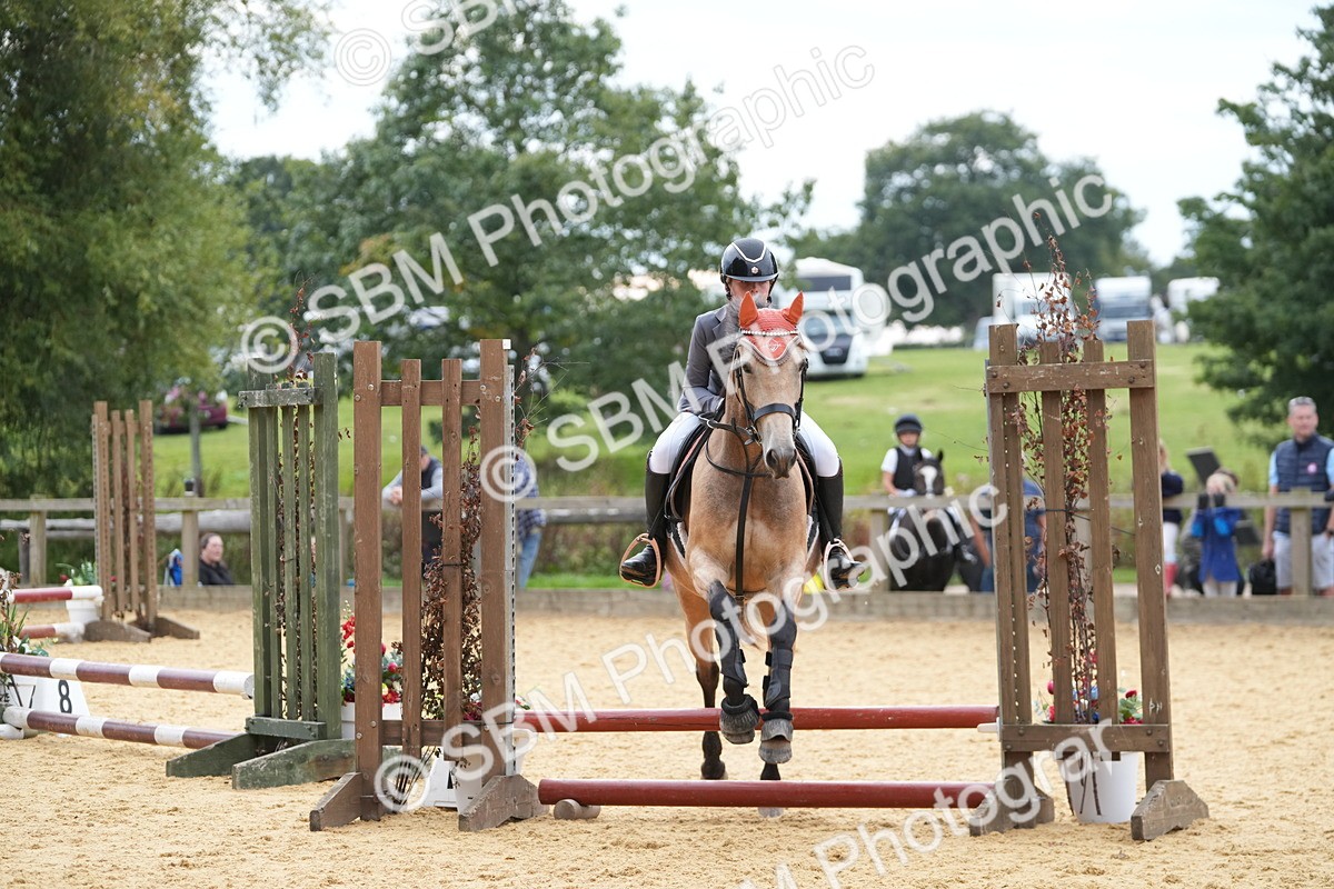SBM_74757 - J4 - Mini Tour Junior Pony 45cm Championship