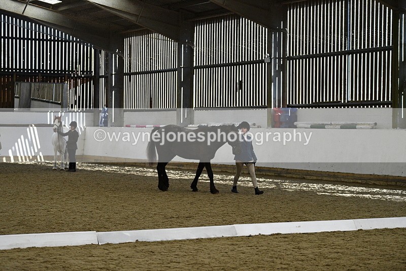 WJ5_4822 - Class 7 In hand coloured / odd coloured