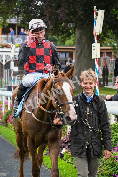 130724-Race 1-Blue For You-6989 - Race 1 2.00pm John Smith's Racing Handicap