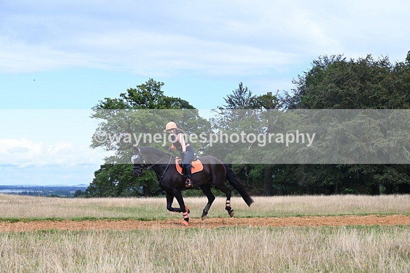 DSC_8837 - Time at Statue 14:33 to 15:10