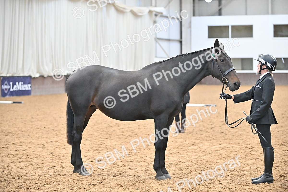 SBM_000090 - Class 4 - BSHA In Hand Show Cob