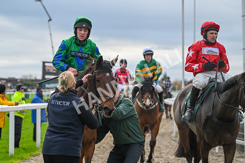 161124-Race 4-Ga Law-0494 - Race 4