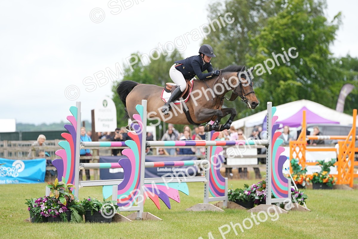 SBM_03077 - Class 201 - British Horse Feeds Speedi Beet Horse of the Year Show Grade  C