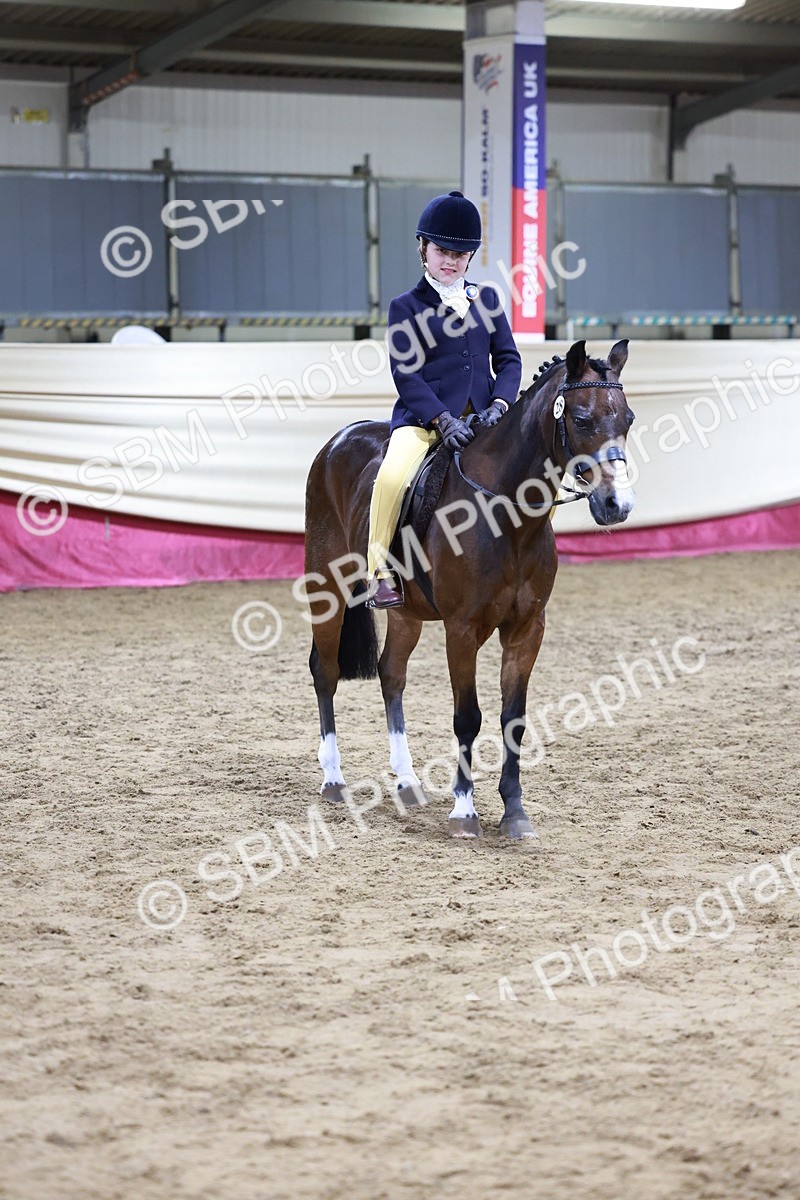 SBM_20575 - Class H - IH Competition - Riding Club champ