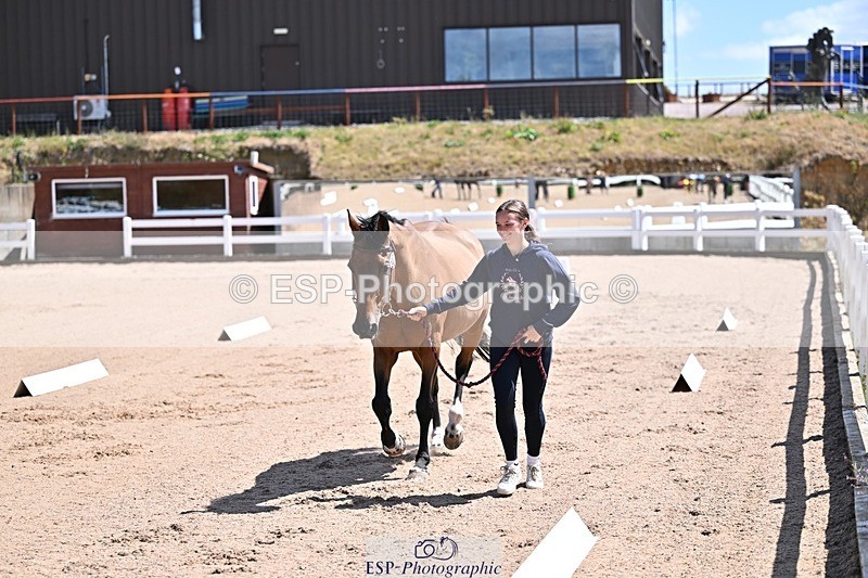 250716-123324-00046 - Trot Up 12.30 to 1.30