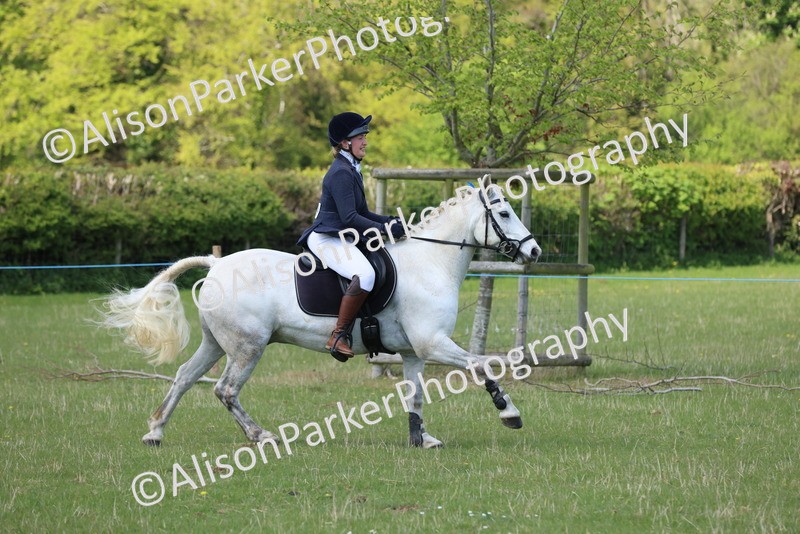 20250427-2652 - Class 20 - Working Hunter Ponies
